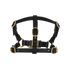 Gucci GG Pet Harness, front view
